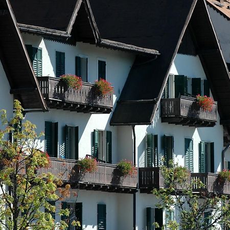 Th San Martino - Majestic Dolomiti Hotel サン・マルティーノ・ディ・カストロッツァ エクステリア 写真