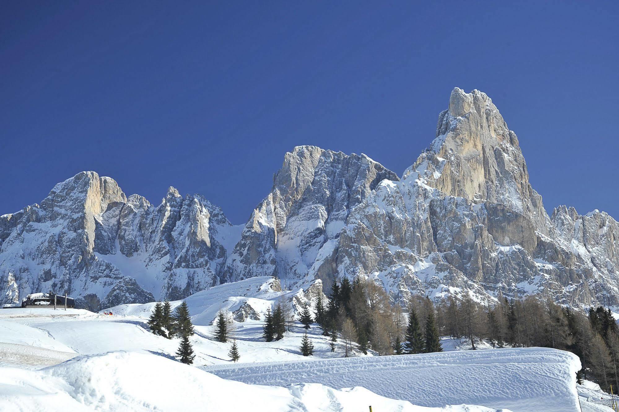 Th San Martino - Majestic Dolomiti Hotel サン・マルティーノ・ディ・カストロッツァ エクステリア 写真
